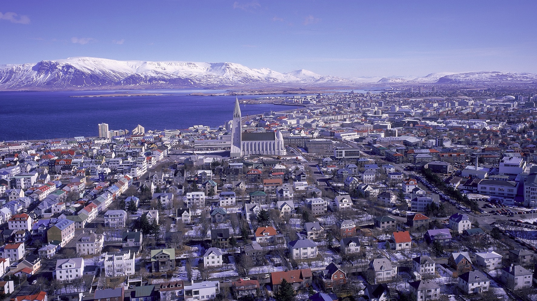ice-is-nice-2015-reykjavik-international-film-festival-toronto-film